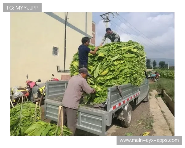 CS2队伍加入执行训练,烟闪配合更为成熟